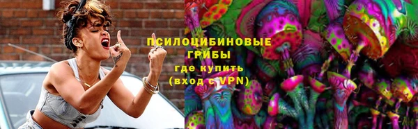 первитин Богородицк