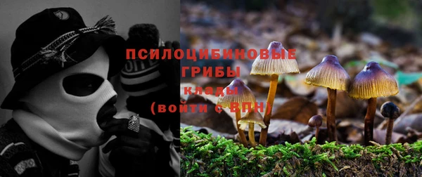 скорость Богданович