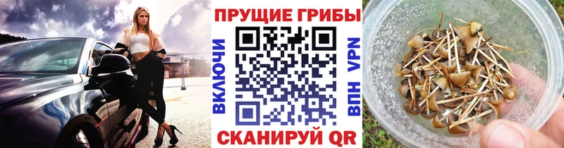 shop клад  Кола  Галлюциногенные грибы мицелий  где купить  